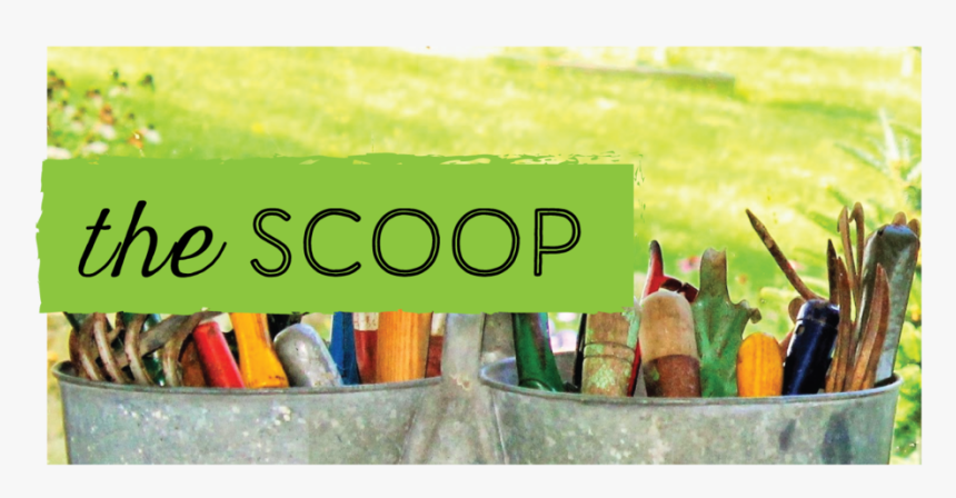 Gjj The Scoop, HD Png Download, Free Download