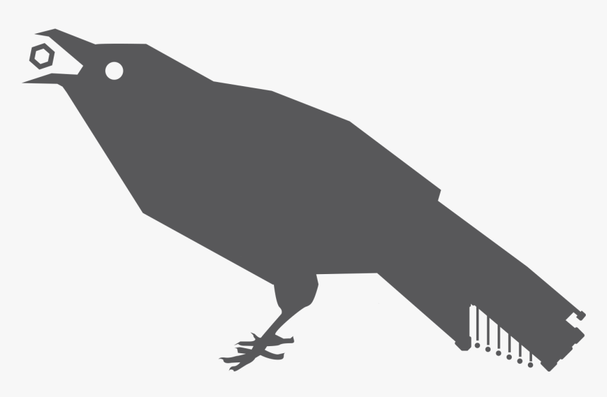 Crow , Png Download - Crow, Transparent Png, Free Download