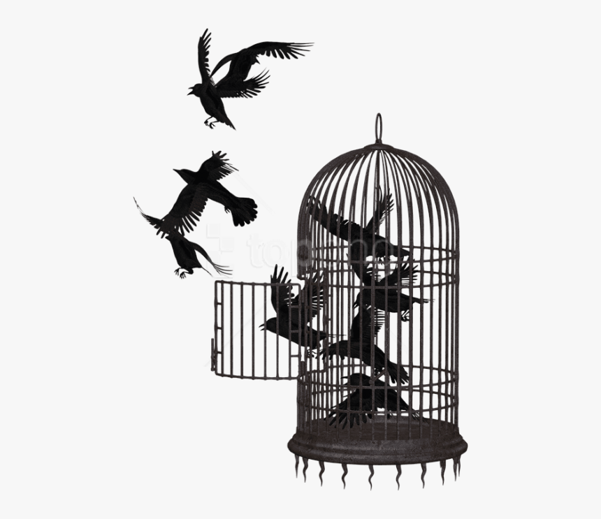 Free Png Download Cage Bird Crow Clipart Png Photo - Bird In A Cage Png, Transparent Png, Free Download