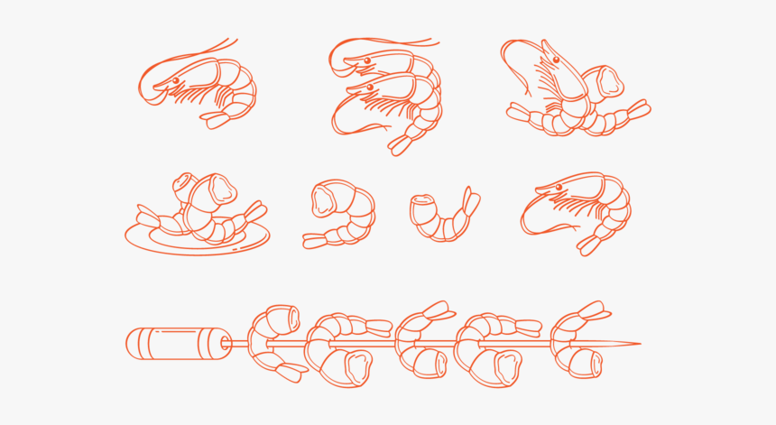 Prawns Icons Vector - Логотип Креветки, HD Png Download, Free Download