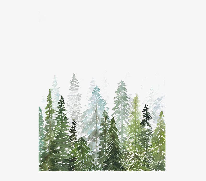 Woods Watercolor Printmaking Printing Painting Drawing - Watercolor Pine Trees Background, HD Png Download, Free Download
