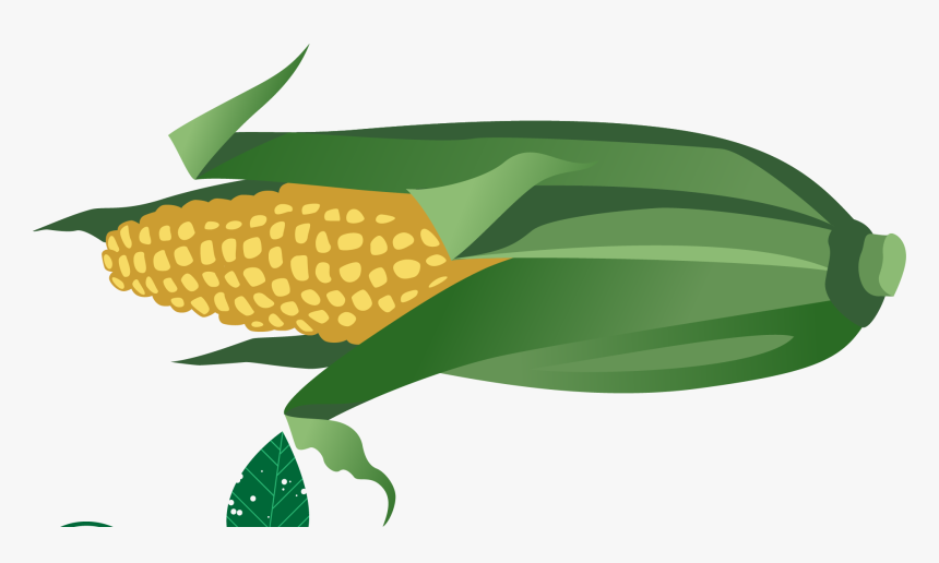 Cartoon Corn No Background, HD Png Download, Free Download