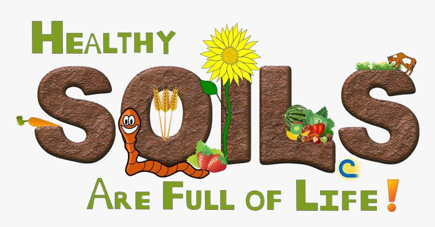 Healthy Soil Png - Soil Health, Transparent Png, Free Download