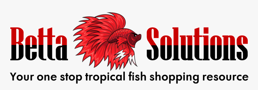 Betta Solutions - Illustration, HD Png Download, Free Download