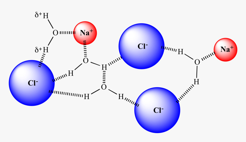 "
 Src="solvation05 - Solvation Of Nacl In Water, HD Png Download, Free Download