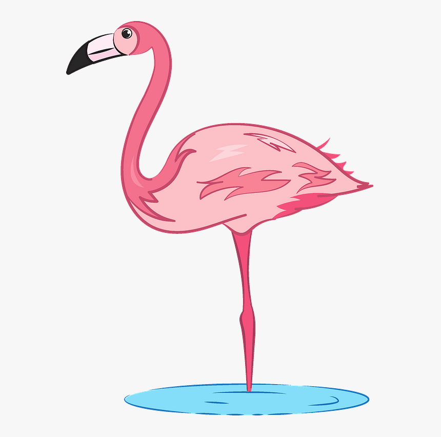 Flamingo Clip Art, HD Png Download, Free Download
