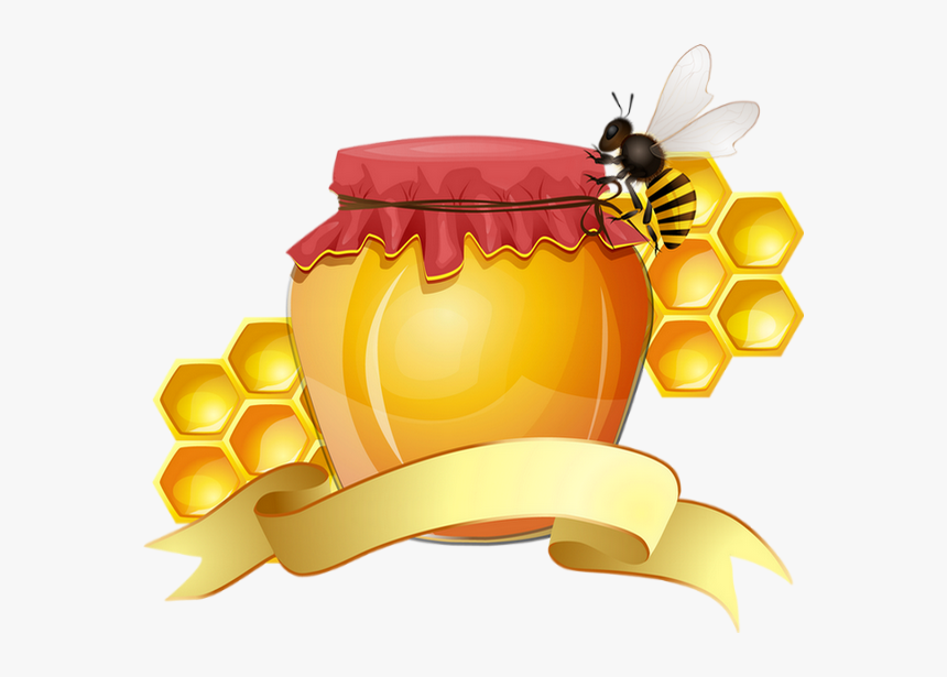 Honey Vector , Png Download - Honey Vector, Transparent Png, Free Download