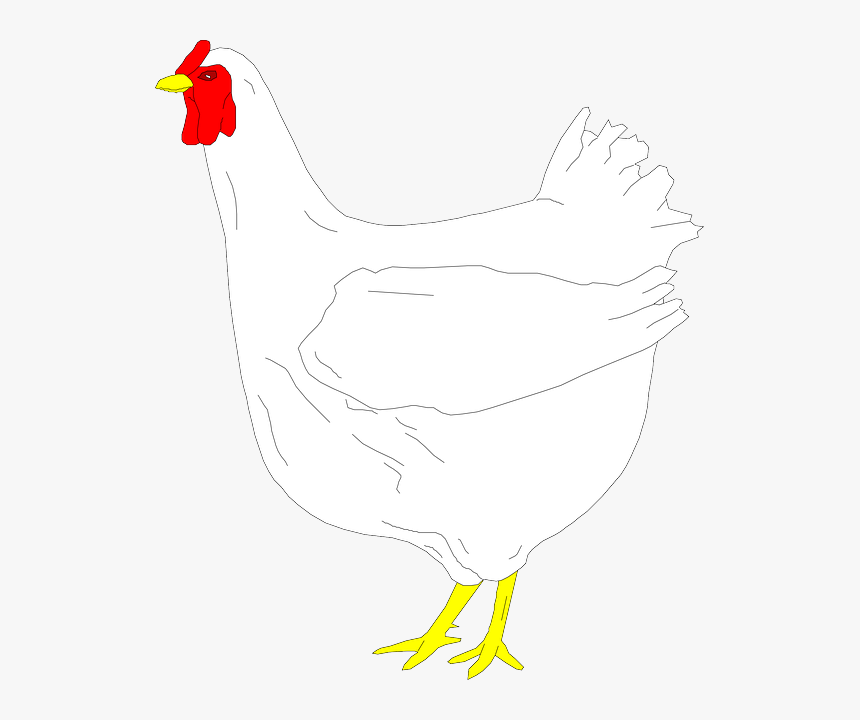Digital, Simple, Drawing, Farm, Bird, Chicken, Animal - Digital Chicken, HD Png Download, Free Download