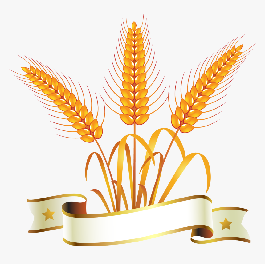 Wheat And Bread Clipart, HD Png Download, Free Download