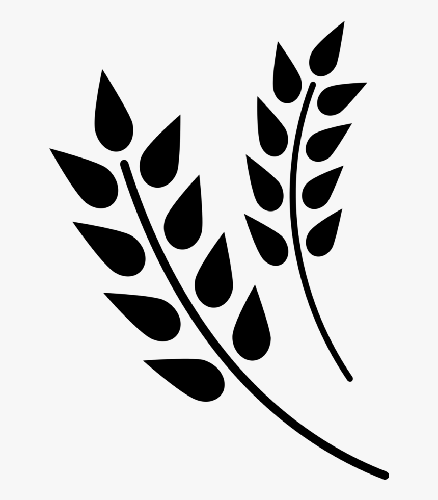 Wheat Grain Icon - Wheat Icon Png, Transparent Png, Free Download