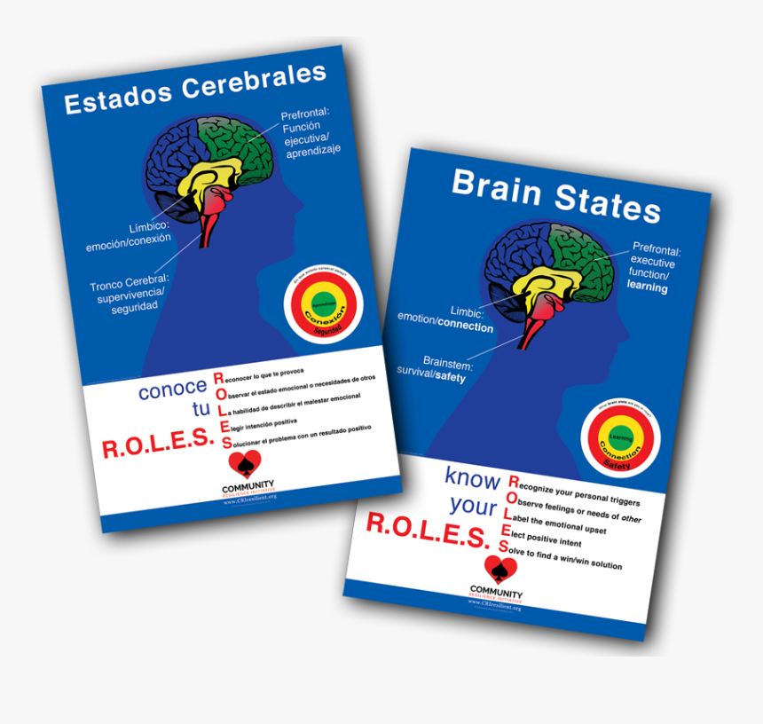 Flyer, HD Png Download, Free Download