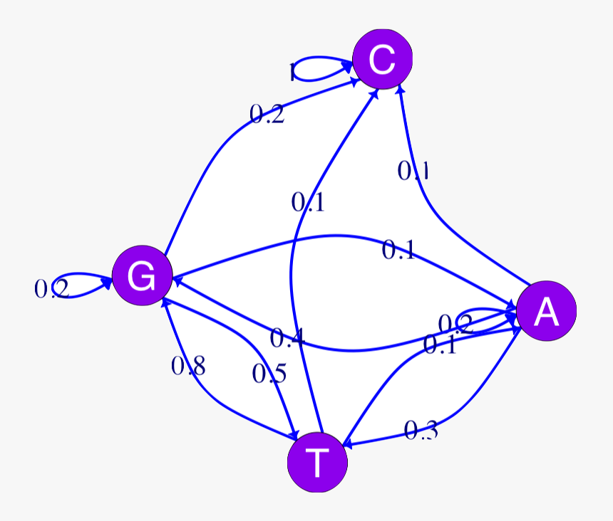 A Four State Markov Chain With Arrows Representing, HD Png Download, Free Download