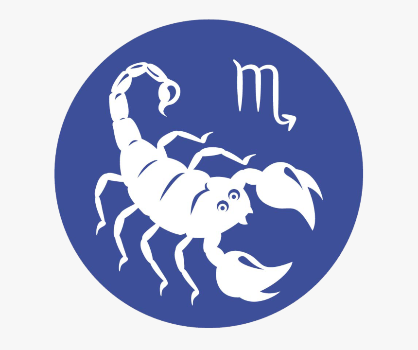 Scorpion, HD Png Download, Free Download