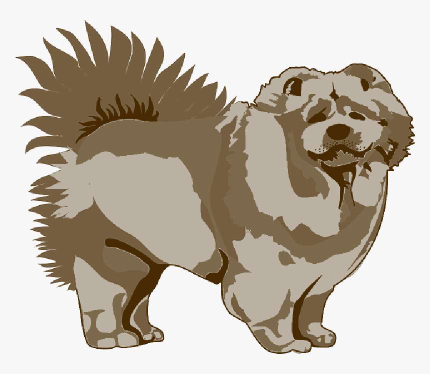 Brown, Dog, Pet, Animal, Mammal, Chow, Fur, Fluffy - Dog, HD Png Download, Free Download