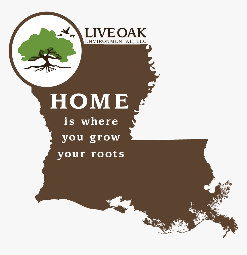 Map Of Louisiana , Png Download - Louisiana Map Vector, Transparent Png, Free Download