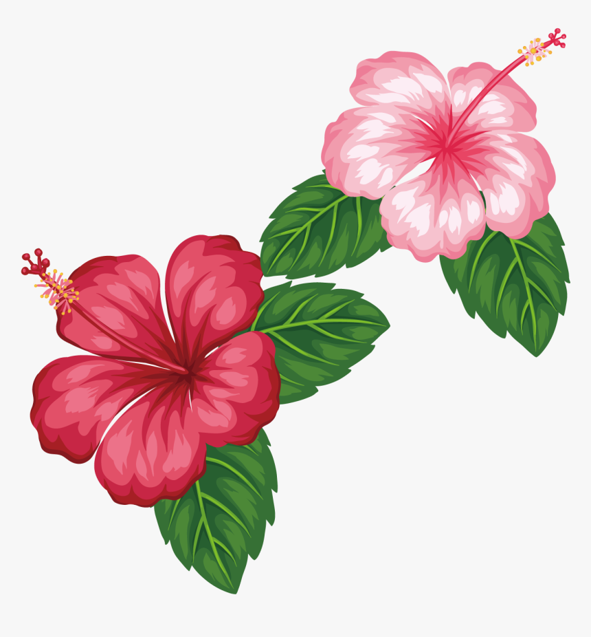 Royalty Free Flower Tropics Clip Art Red - Plumeria Hibiscus Tropical Flowers, HD Png Download, Free Download
