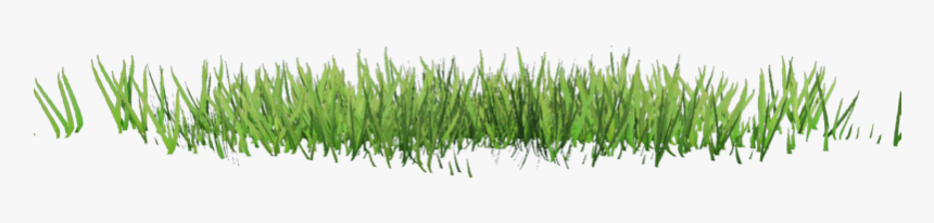 Rumput Png - Photoshop 잡초 Png, Transparent Png, Free Download