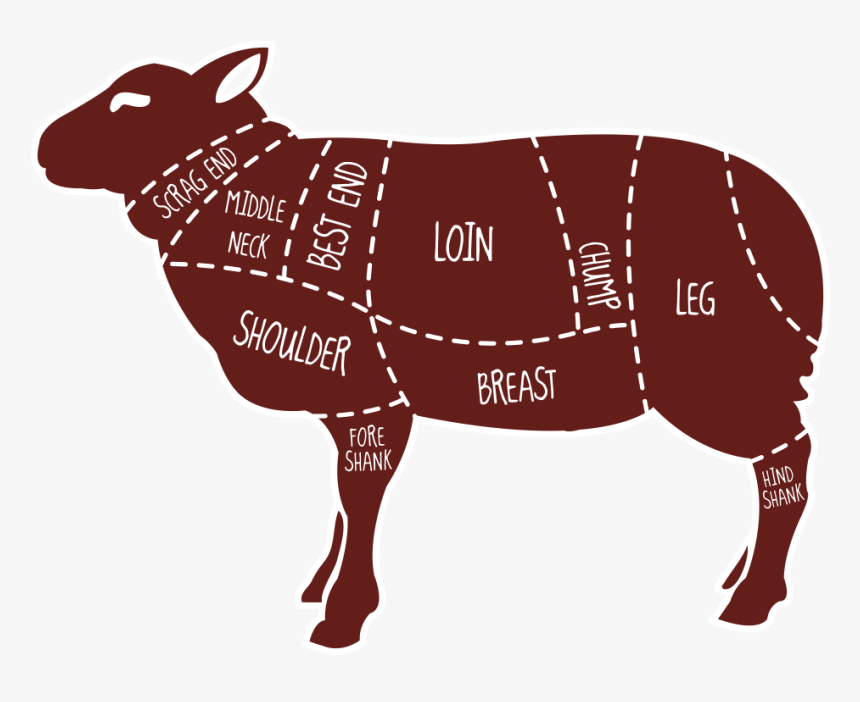 Free Download Meat Map Of A Lamb Clipart Lamb And Mutton - Sheep Meat Chart, HD Png Download, Free Download