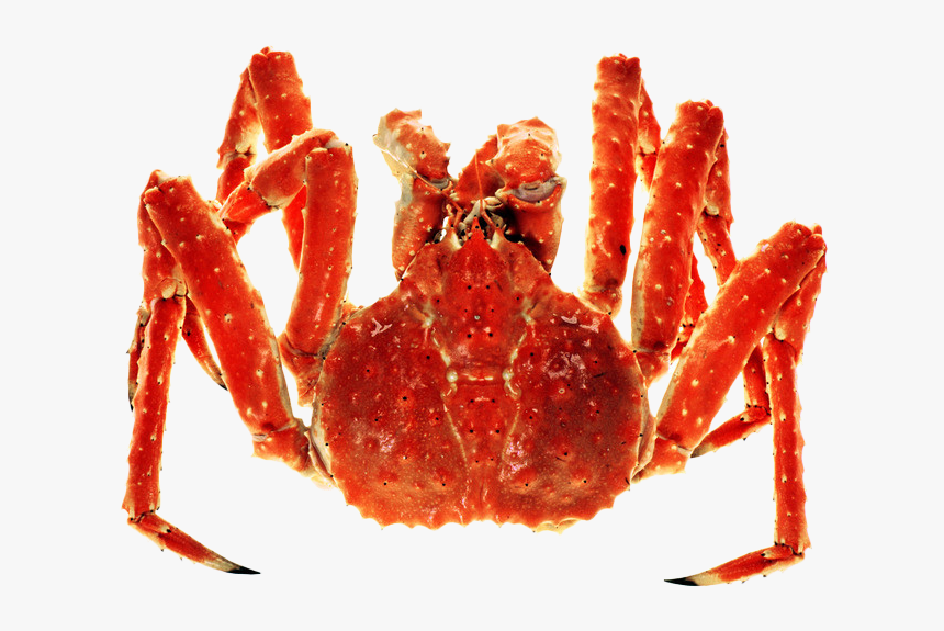 Carb Legs Png - King Crab Png, Transparent Png, Free Download
