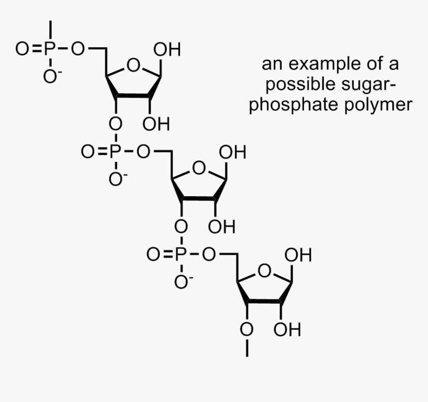 Carbohydrate Polymer Chemical Structure, HD Png Download, Free Download