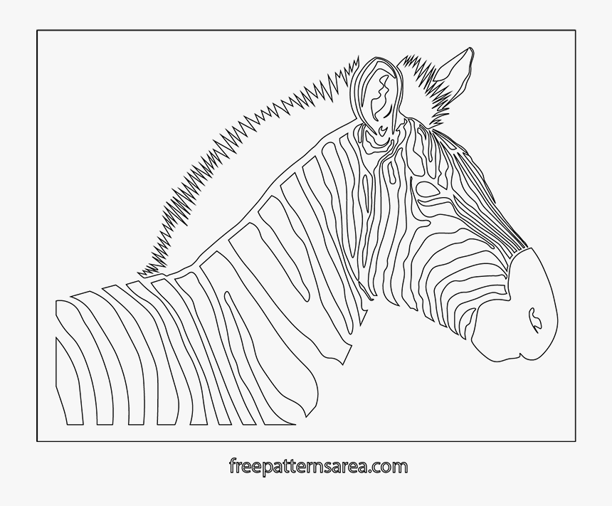 Zebra, HD Png Download, Free Download