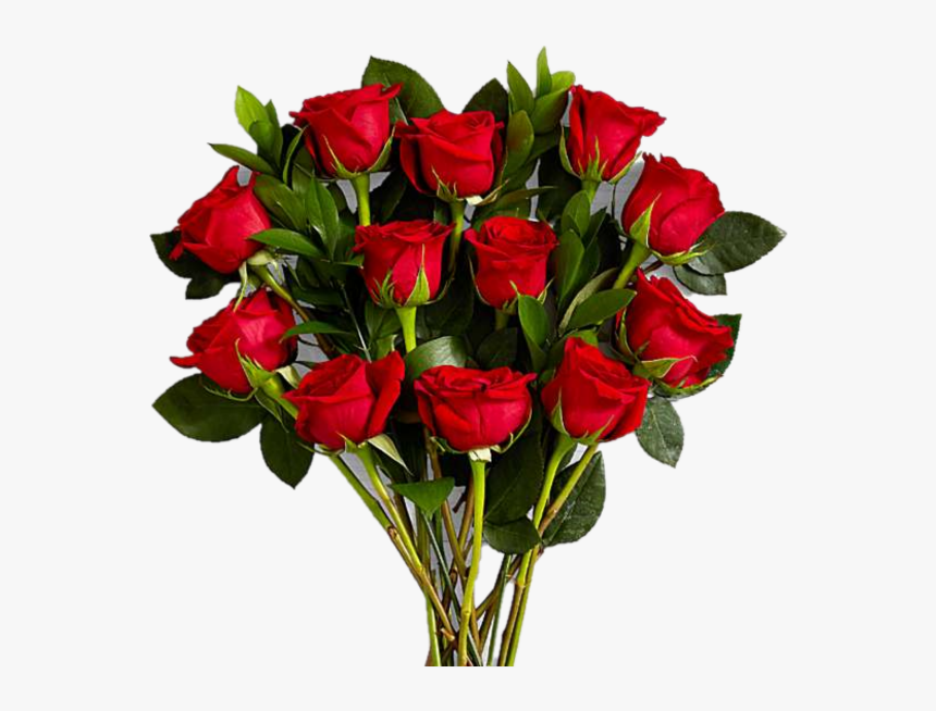 Dozen Gushing Red Rose - Red Roses, HD Png Download, Free Download