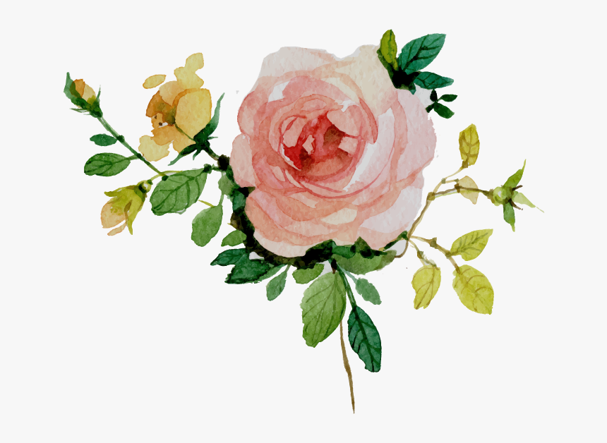Vector Floral Watercolor Png, Transparent Png, Free Download