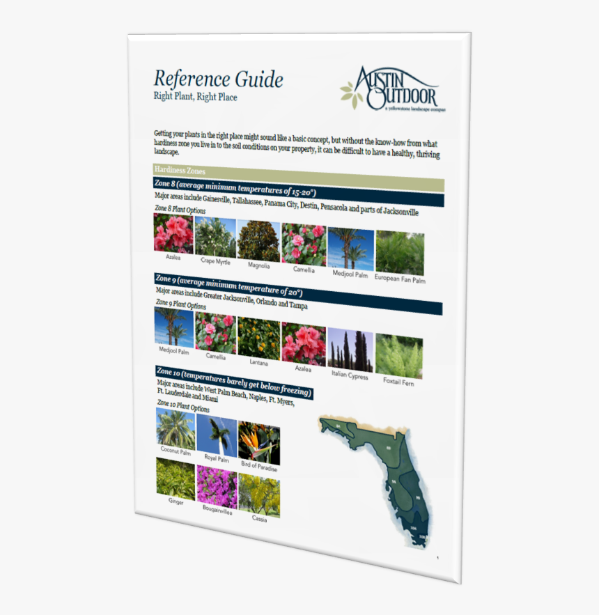 A Short And Sweet Florida Plant Reference Guide - Online Advertising, HD Png Download, Free Download