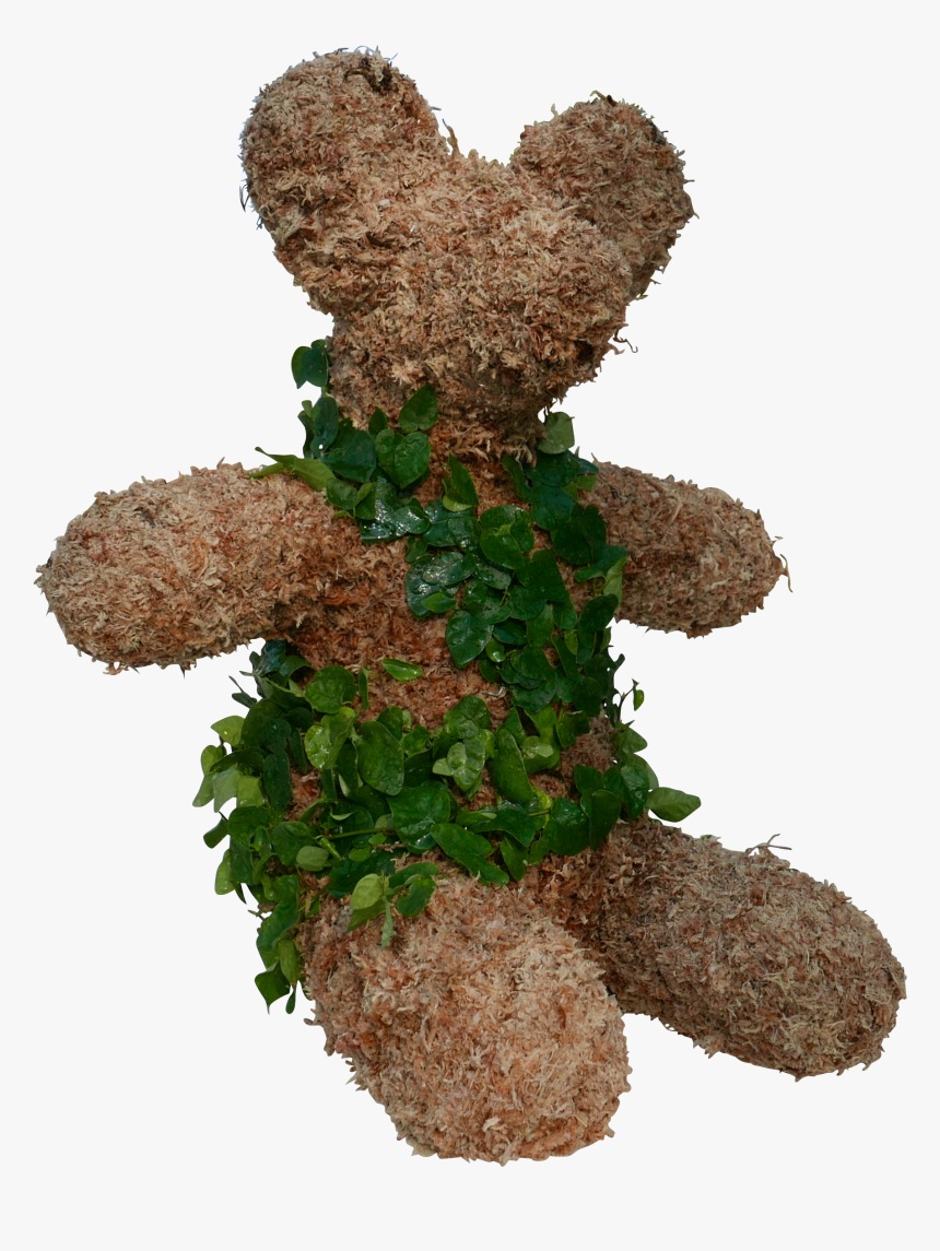 Teddy Bear, HD Png Download, Free Download