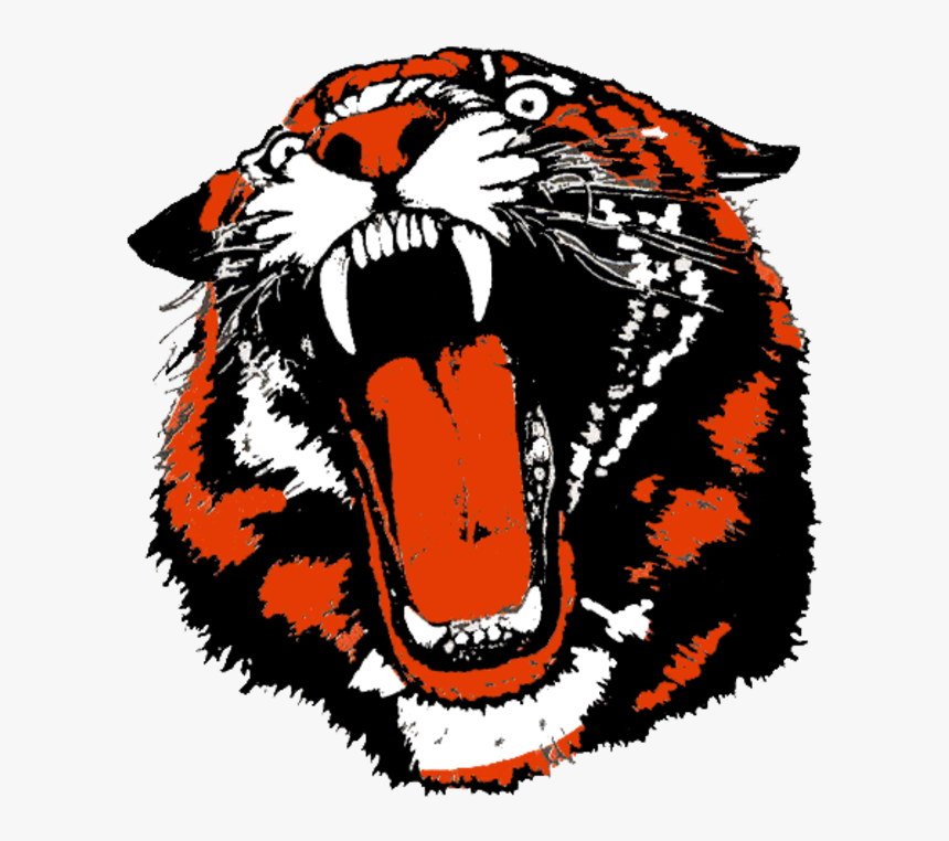 Girl Tiger Basketball Clipart Vector Freeuse Ohio High - Versailles Tigers Logo, HD Png Download, Free Download