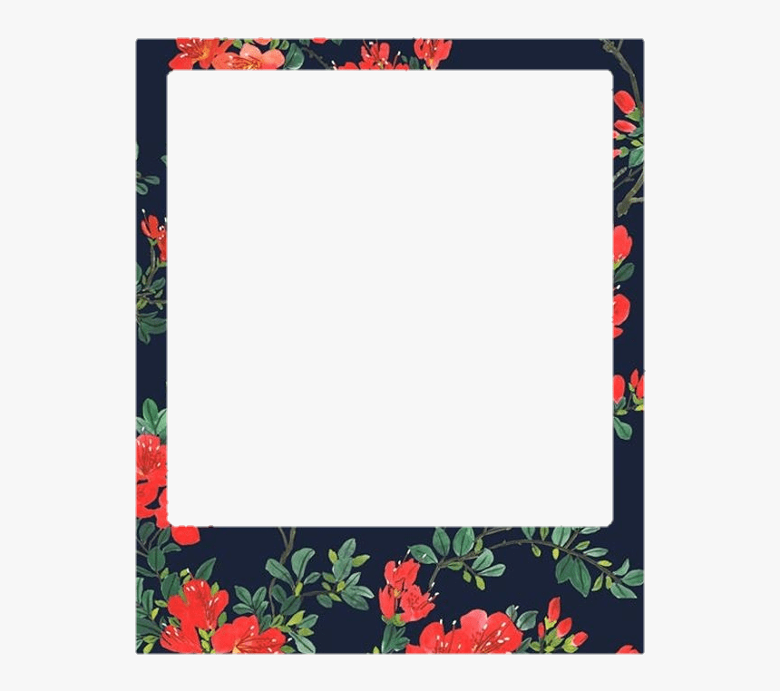 Aesthetic Roses Rose Flowers Flower Polaroid - Transparent Polaroid Frame, HD Png Download, Free Download