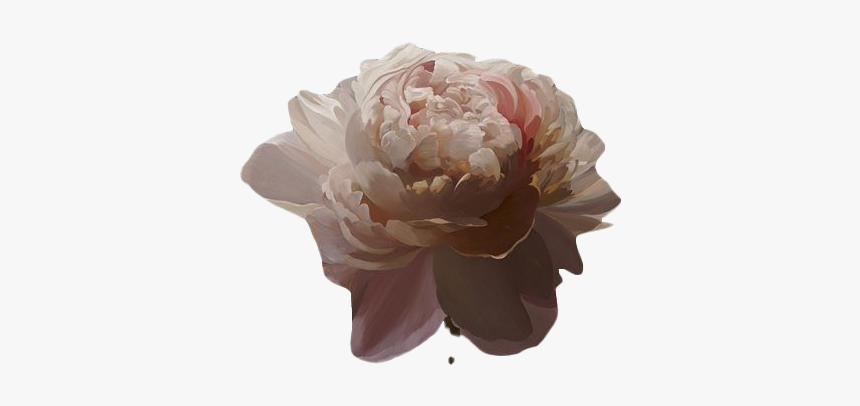 Aesthetic Flower Art Png Transparent Image - Brown Aesthetic Png Transparent, Png Download, Free Download