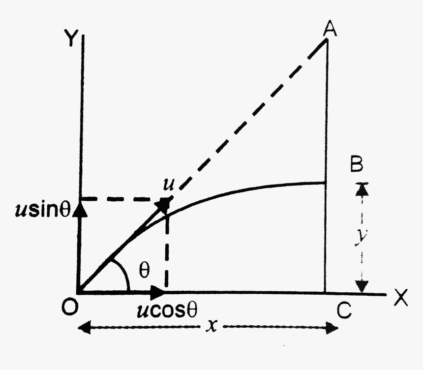 Diagram, HD Png Download, Free Download