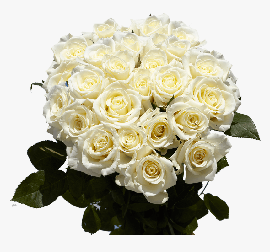 Roses Bouquet 2 Dozen White Roses Special - Buchete De Flori La Multi Ani, HD Png Download, Free Download