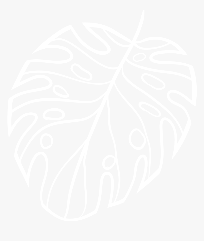 Monstera-white - Illustration, HD Png Download, Free Download