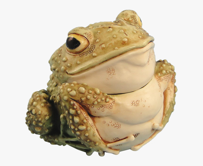 American Frog, HD Png Download, Free Download