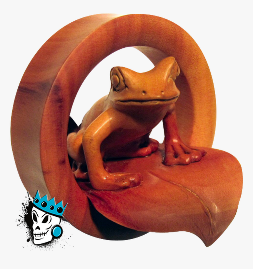 Toad Animal Png, Transparent Png, Free Download