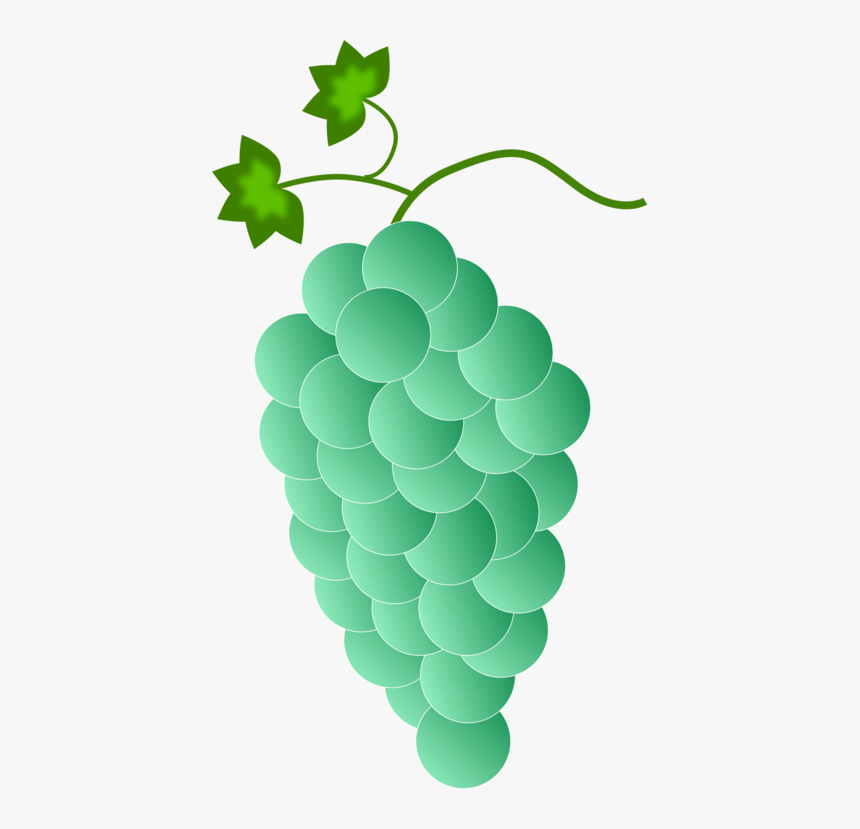 Grapevine Family Png - Grapes Color, Transparent Png, Free Download