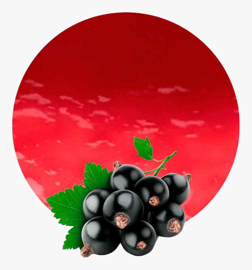 Blackcurrant Png Clipart - Black Currant Fruit Png, Transparent Png, Free Download