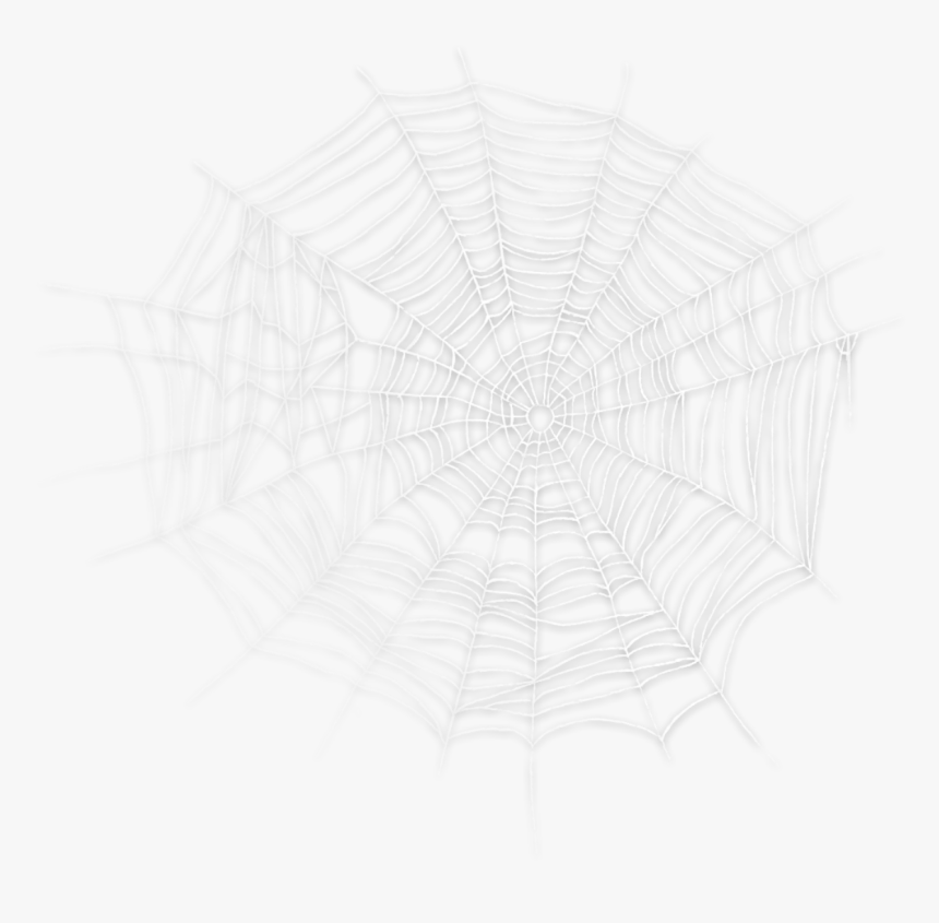 #spider #spiderweb #cobweb #spooky #halloween #scary - Sketch, HD Png Download, Free Download