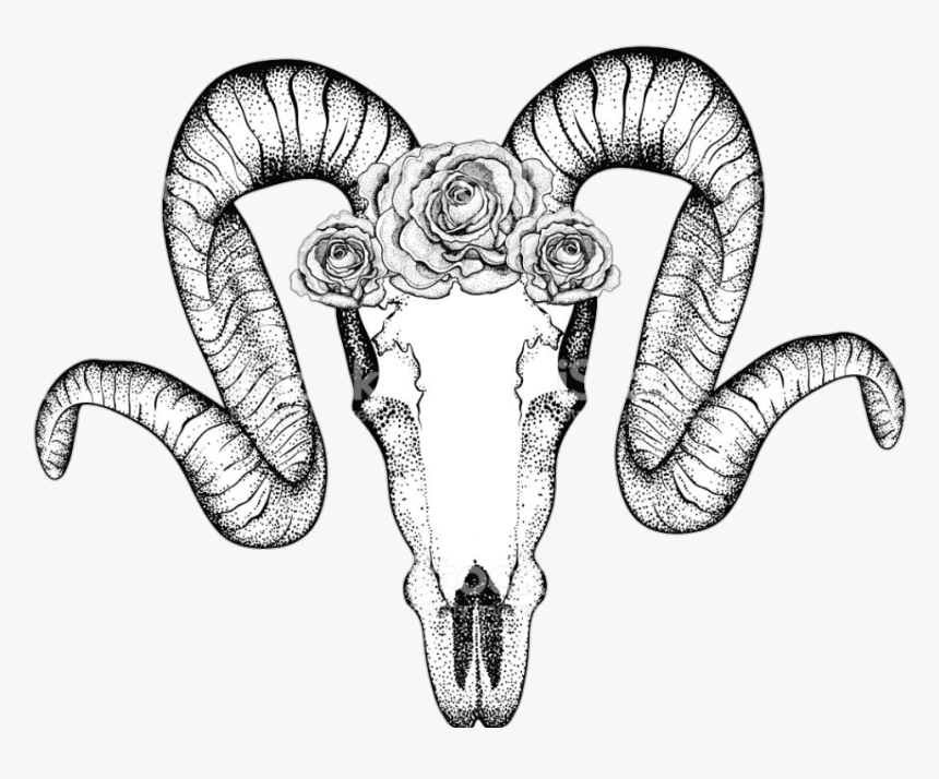 Zentangle Ram Skulls , Png Download - Goat Skull Drawing, Transparent Png, Free Download
