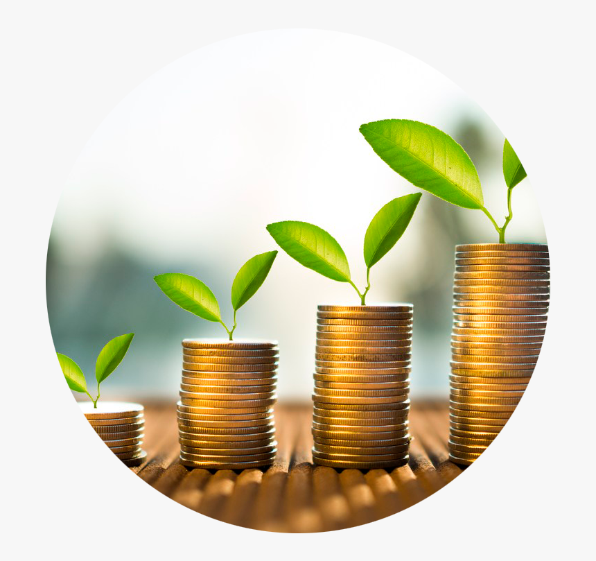 Growing Investment, HD Png Download, Free Download