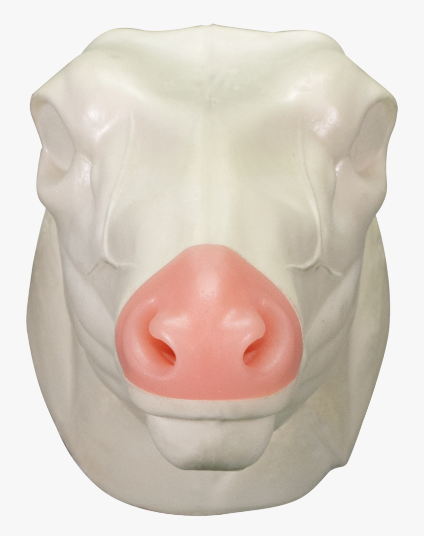 Pig Mask Png, Transparent Png, Free Download