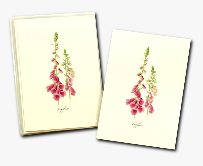 Greeting Card, HD Png Download, Free Download