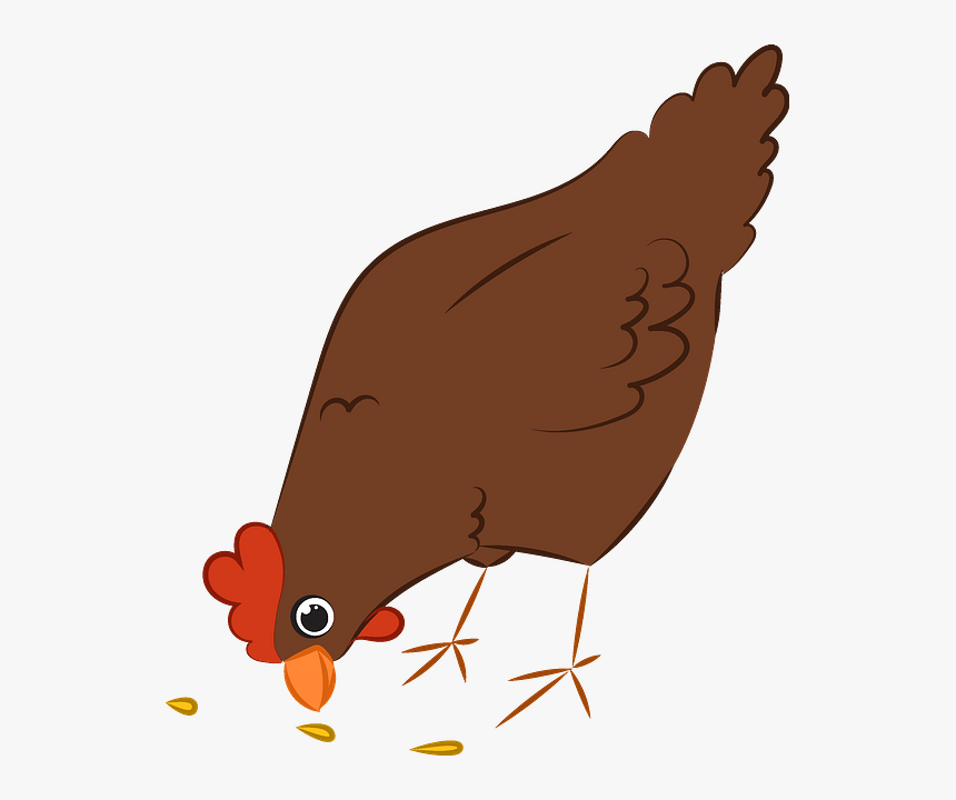 Chicken, HD Png Download, Free Download