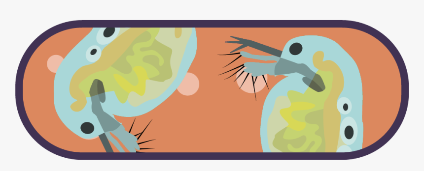 Illustration, HD Png Download, Free Download
