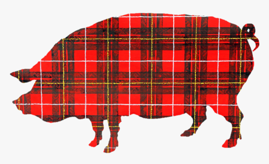 Plaid Pig Public Relations - Plaid Pig, HD Png Download, Free Download