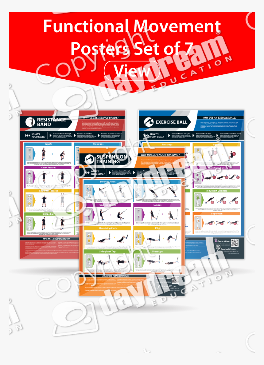 Functional Movement Posters Set Of - Poster, HD Png Download, Free Download