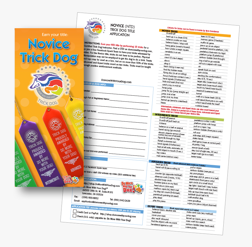 Brochure, HD Png Download, Free Download