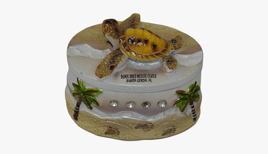 Sparkly Sea Turtle Treasure Box - Tortoise, HD Png Download, Free Download